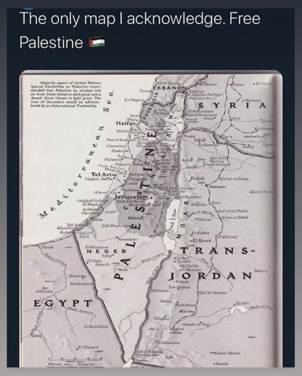 talaTTB's tweet photo. #Palestine https://t.co/EwUaNJ3wjd