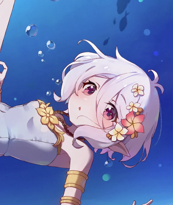 夏コッコロ 