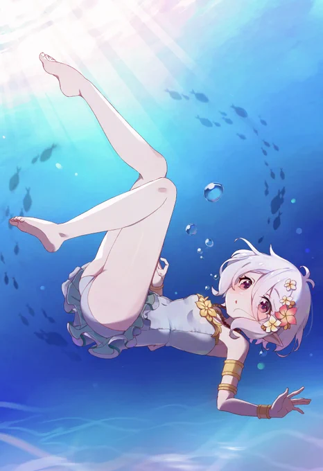 夏コッコロ 