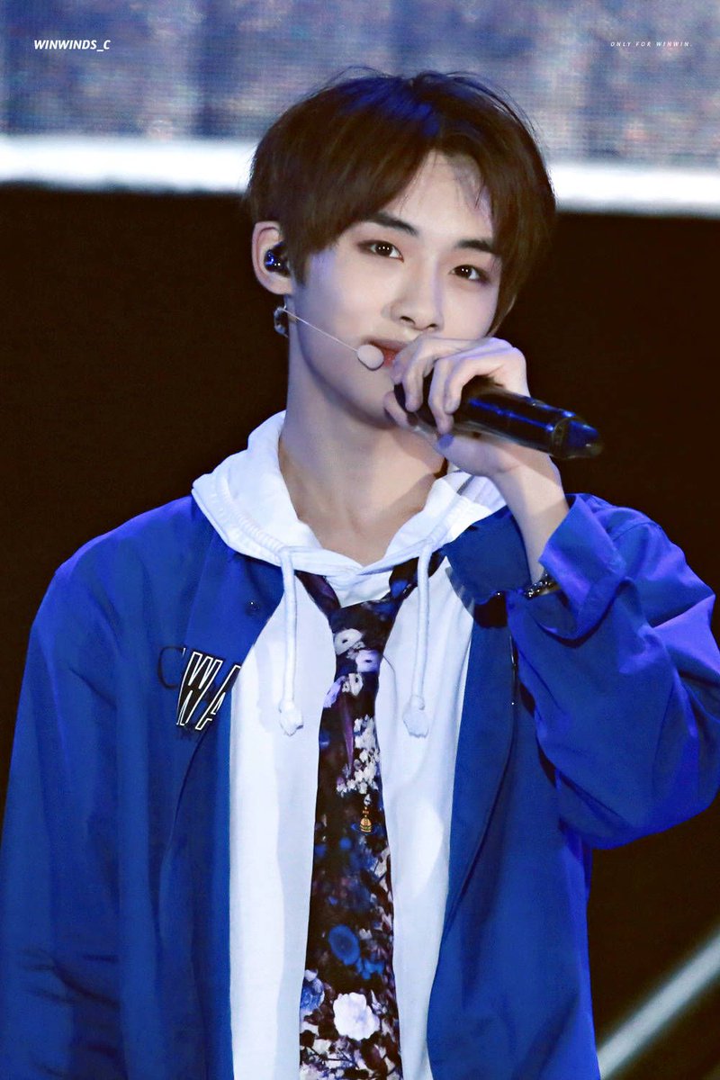 Hourly Winwin☁️ tweet media