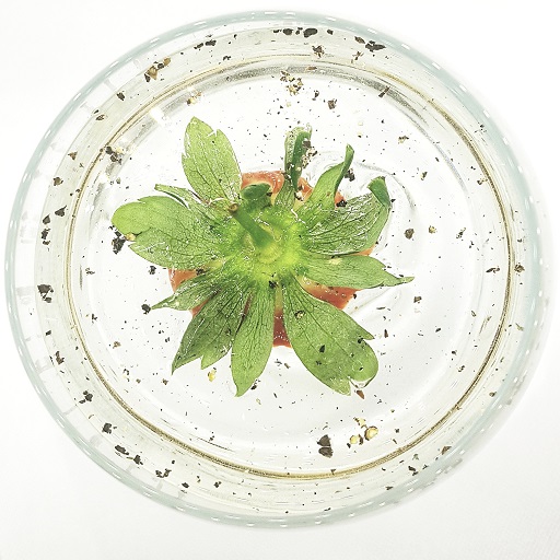 SpringmountG's tweet image. Hands up who needs one of these? 🙋‍♀️🙋‍♂️

#springmountspirits #springmountgin #ginandtonic #g&amp;amp;t #sg&amp;amp;t #drinkup #cocktails #parboldvillage #independentlancashire