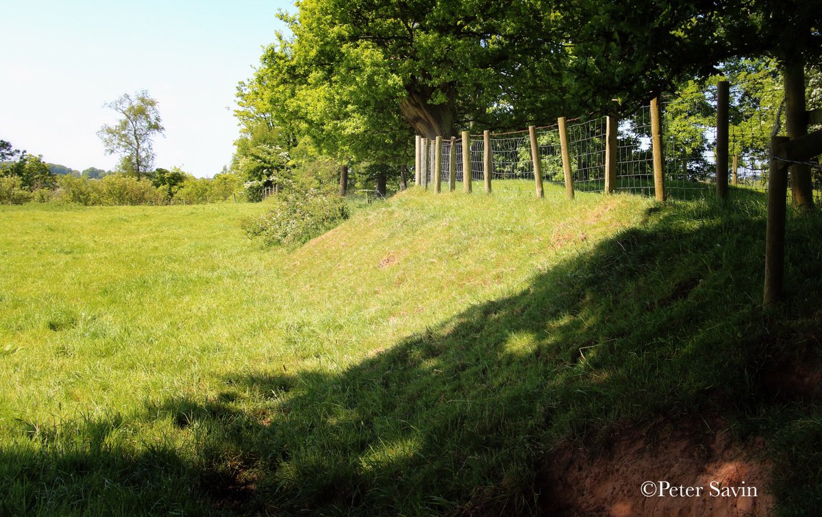 pete_savin's tweet photo. The ramparts of Brampton old Church are still visible surrounding St Martins Church but they are at risk from rabbits and other burrowing animals #Stanegate #WalkingRomanRoads #HadriansWall https://t.co/vLSAixSeSt