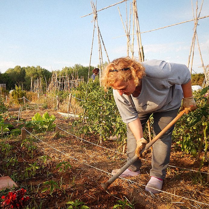 pamapamcat's tweet photo. Natura i #ESS, #femESStiu per Tarragona:
🍀 Hort de la Sínia ofereix experiències d’ecoturisme a la zona d'Altafulla https://t.co/UI27aWs7Ju
🐦 @rietvell impulsa activitats ornitològiques de la mà de @_seo_ebre_ a la finca ecològica de Delta de l'Ebre https://t.co/EaTq8W15xB https://t.co/dh24iDLdF1