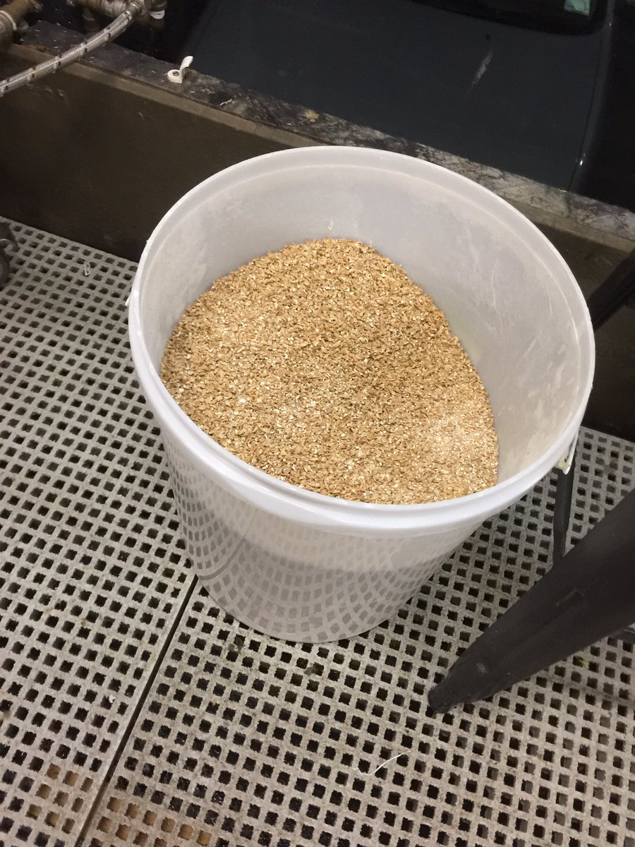 First we start off with cracked grain. For moonshine this would be corn, for whisky it’s usually wheat, barley and or sometimes some rye