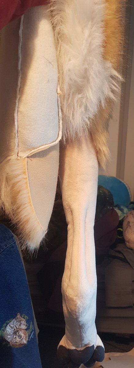 Finished 1 leg