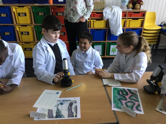 royalsociety's tweet photo. @Buildbodyparts is a #PartnershipFrants project where students from @VictoriaEdin have learnt about tissue engineering from using microscopes to observe cells in tissues to using 3D printers to design and print replacement “body parts”. #SummerScience https://t.co/pnKEnr09LL