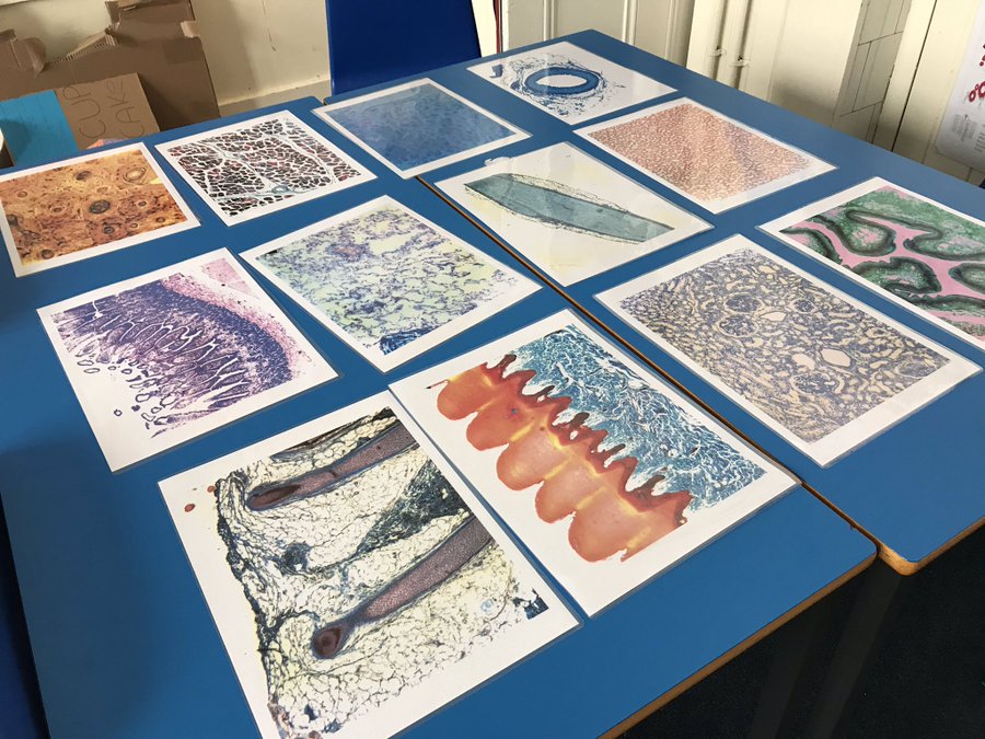 royalsociety's tweet photo. @Buildbodyparts is a #PartnershipFrants project where students from @VictoriaEdin have learnt about tissue engineering from using microscopes to observe cells in tissues to using 3D printers to design and print replacement “body parts”. #SummerScience https://t.co/pnKEnr09LL