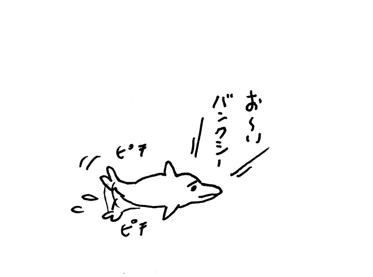ヴァンダリズム海豚 