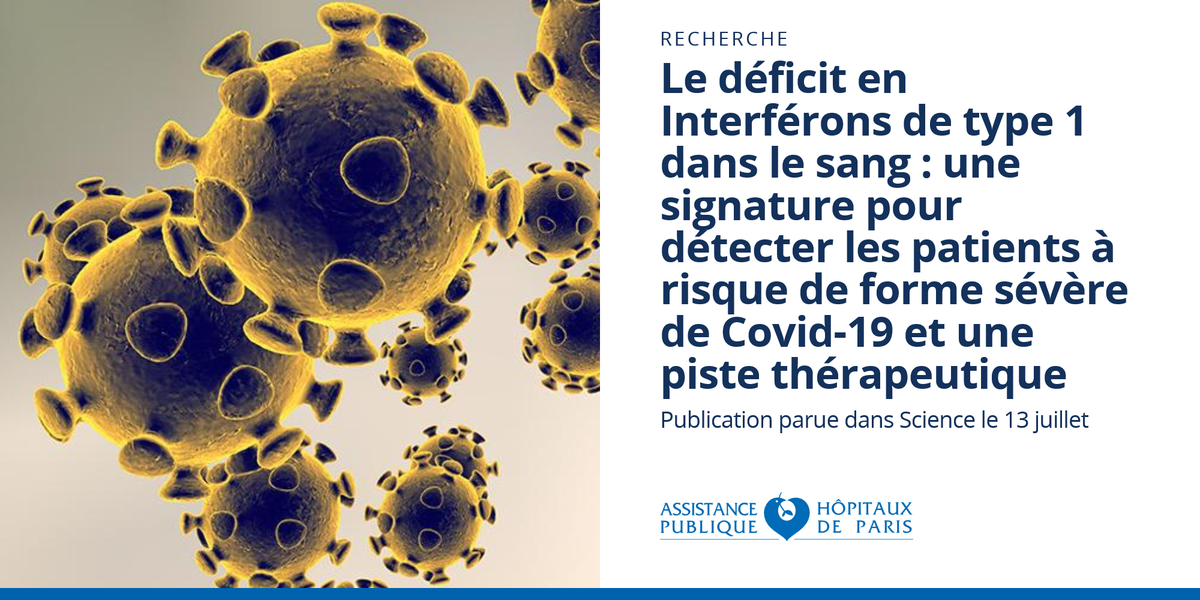 APHP's tweet photo. [#Recherche] Le déficit en Interférons de type 1 dans le sang : une signature pour détecter les patients à risque de forme sévère de #Covid19 et une piste thérapeutique
 https://t.co/u7rGPyJtMU https://t.co/bDKuUWUhdA