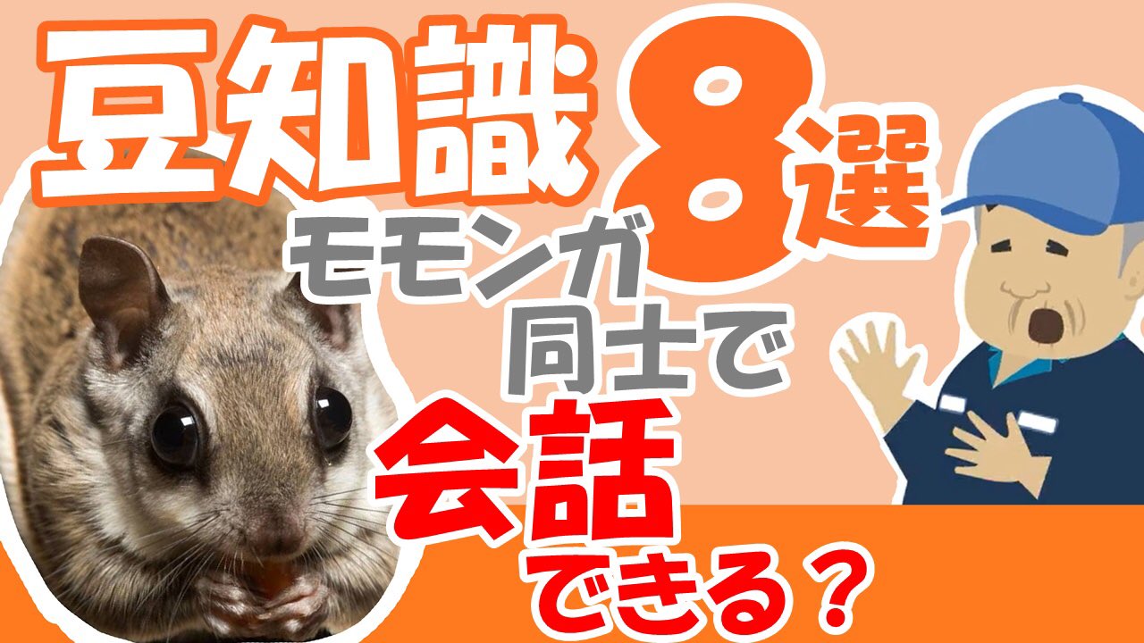話したくなる動物豆知識 Youtube動物園 モモンガの豆知識 ５選 公開しました 空を飛び交う俊敏で可愛い モモンガ モモンガ同士で会話ができるって 知ってました 詳しくは 是非ご来園ください ご来園はこちら T Co