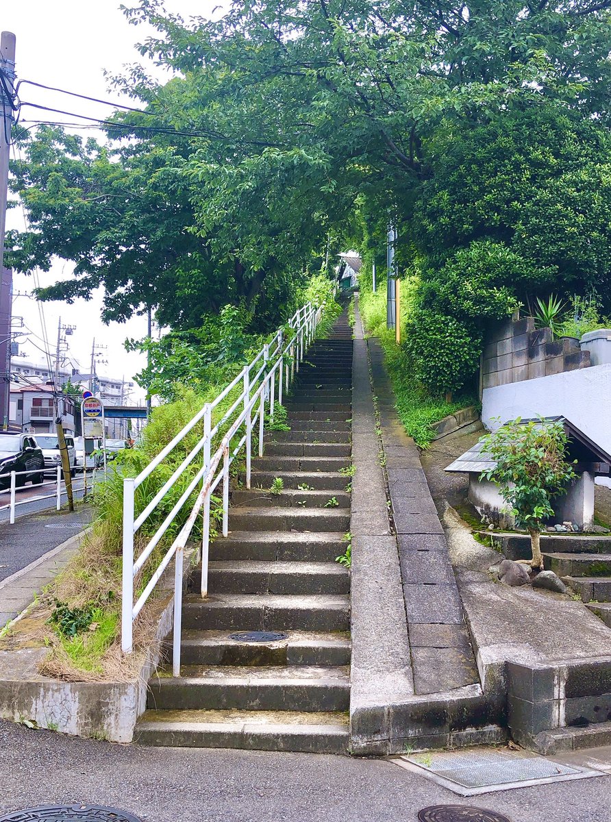 横浜村のポチ太郎 この階段の先に住んでる人の足腰やばそう 横浜びゅー 岸根公園 新横浜 階段 港北区