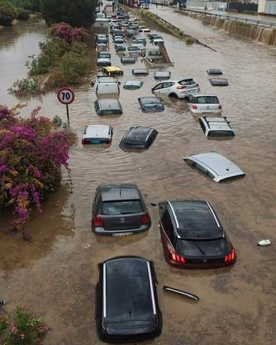 Fridays For Future Italia tweet media
