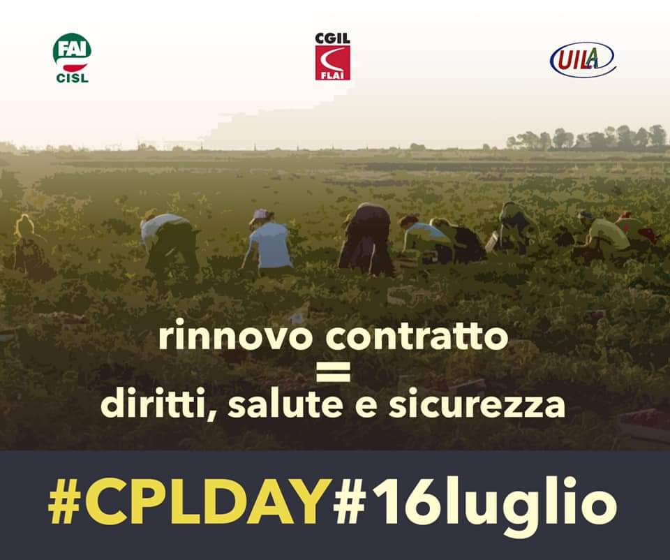 FlaiFrLt's tweet photo. #cplday #16luglio  Rinnoviamo i contratti provinciali agricoli. Il giusto incremento retributivo per i lavoratori che in questi mesi di emergenza sanitaria hanno dimostrato l’essenzialità del loro lavoro assicurando cibo sulle tavole degli italiani https://t.co/cZ0uUCVyrB