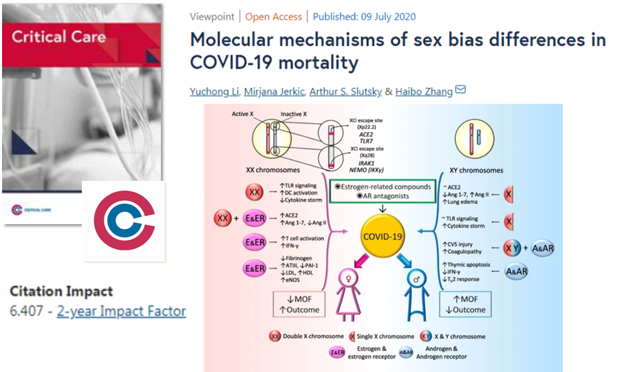 Crit_Care's tweet photo. #CritCare #OpenAccess
https://t.co/SSBU9m3OX4
Why does #COVID_19 more severely affect men than women? The impact of #sex on the #immune_responseย
#FOAMed #FOAMcc #BMC #ICU #epidemics #infection #ACE_2 #T_cellย #X_chromosome #estrogen #androgen @jlvincen @ISICEM https://t.co/z74HVrSLHp