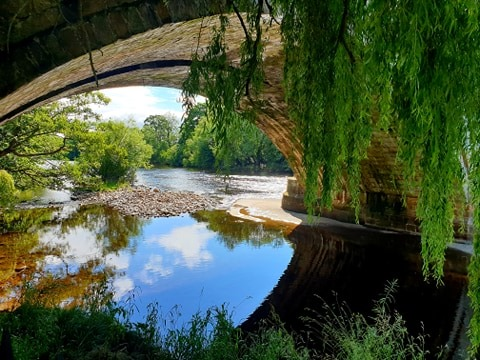 The lovely view from the riverside Beer Garden at the Bull Inn, West Tanfield, North Yorkshire, a fine place to drink and dine beside the River Ure. Call 01677 470678
Covid 19 precautions in place
#beergarden #riversidedining #traditionalyorkshirepubmenu #realale #caskales #ripon