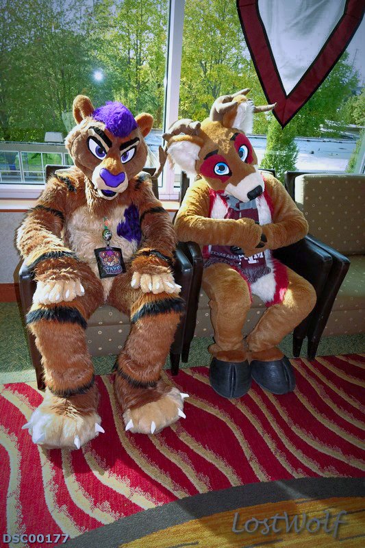 LostWolf321's tweet photo. It's @TazeTheSaber & @TheSwiftFalcon @rainfurrest #RF2015 https://t.co/PROaRW3BkM