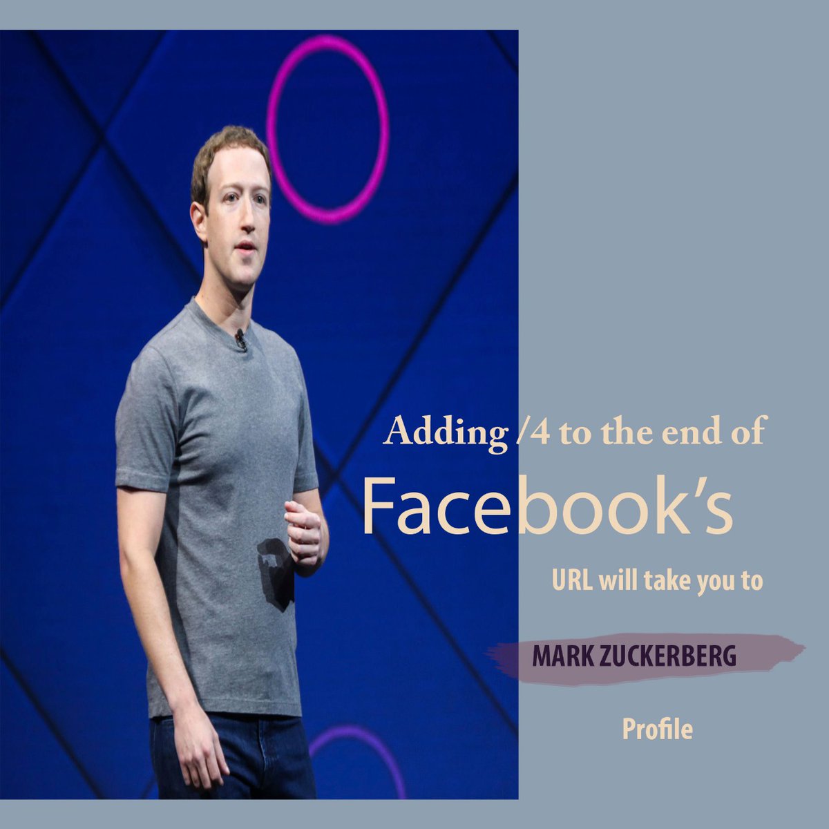 QMindz's tweet photo. Don't know why Mark Zuckerberg's chose the fourth ID number instead of number 1, but this is a quick and easy way to get to the original Facebook wall that is owned by its creator. 

 #BusinessNewsDaily #businessnewsindia #facebook #FacebookNews #news #Latest #business https://t.co/46QYxM0BwE