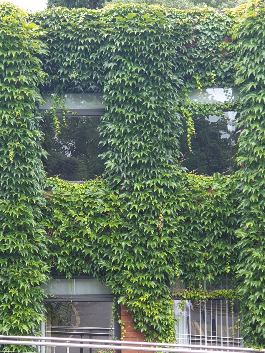 MikeGoughLECC's tweet photo. Short back &amp; sides please! It's not just the public keen to get a post-lockdown haircut... Here @LaneEndCC our buildings are ready for a trim too! https://t.co/Mx47EP0KI0