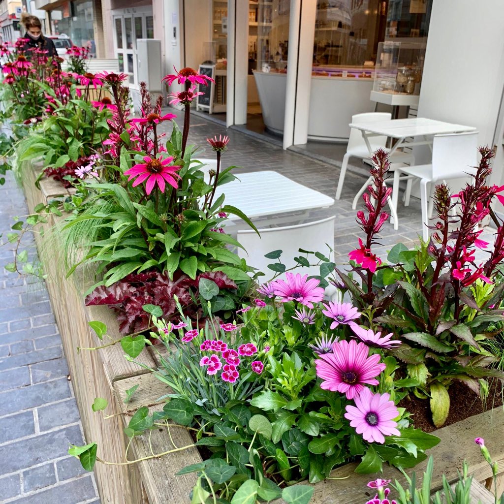 FleurLies's tweet photo. Bij Bakkerij DeCock kun je niet alleen genieten van zoete lekkernijen en vers brood 🥐🥖 maar ook van de frisse, roze beplanting die wij voor hen gedaan hebben 🌸🌷 Enjoy!
.
#fleurdelies #b2b #project #bakkerijdecock #echinacea #osteopspermum #anjer #pink https://t.co/HG1yg5rkBm