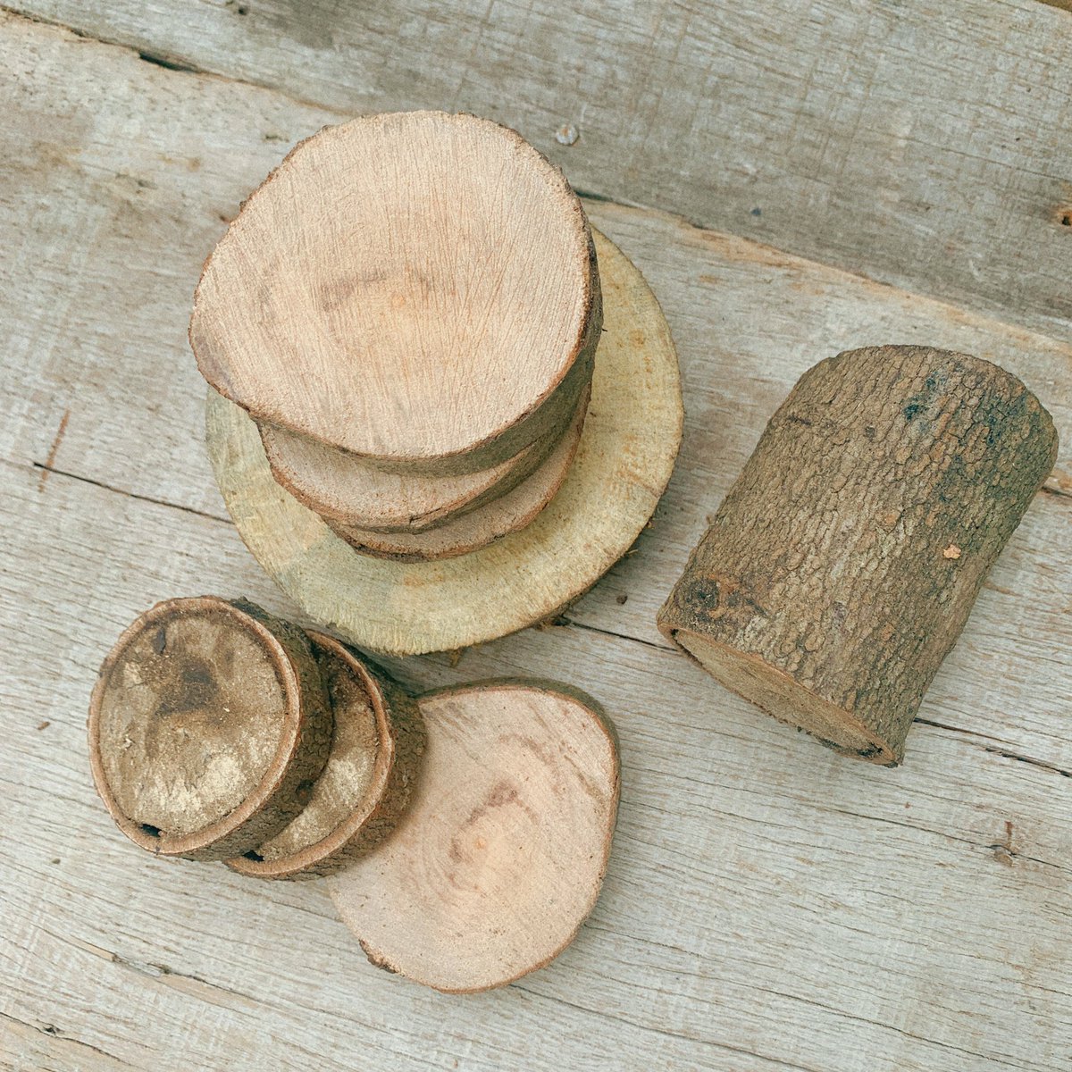 chichilittle's tweet photo. i asked my dad to cut a couple of slices of an old branch for me, but when he found out that i was planning to paint on them, he cut the whole thing up and gave me like 20+ slices lol #soextra 😆now i have so many little wooden discs :)) #gouache https://t.co/PAWTIh9mHN