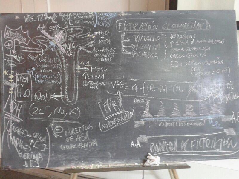 TinchoEverett's tweet photo. 👏🏻👏🏻👏🏻 Creo que todos en algún momento terminamos en esta obra de arte.. baúl de los recuerdos, año 2013, estudiando para Drem en algún anfiteatro del Clínicas, autores @fterra021 @hernanmuza Dr. Arigon y quien escribe. Gran curso sin duda Drem! https://t.co/yfh7eJDOpC