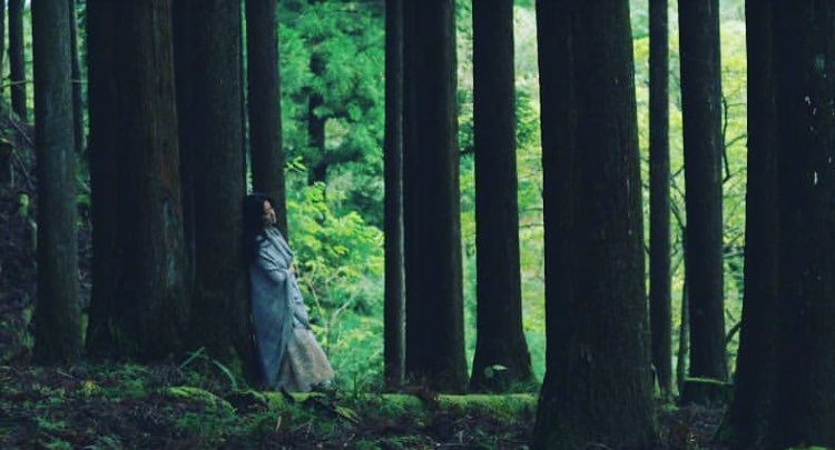 saki_tanaka_'s tweet photo. いよいよ明日17日から北米最大の日本映画祭
JAPAN CUTS にて
『夜のそと』中川奈月監督作品が
オンライン上映されます。楽しみです!
#BeyondtheNight
#JAPANCUTS
https://t.co/TFf0tcTHgU https://t.co/jaoOiJxXS4
