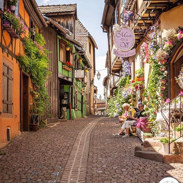 ColaJessice's tweet image. 