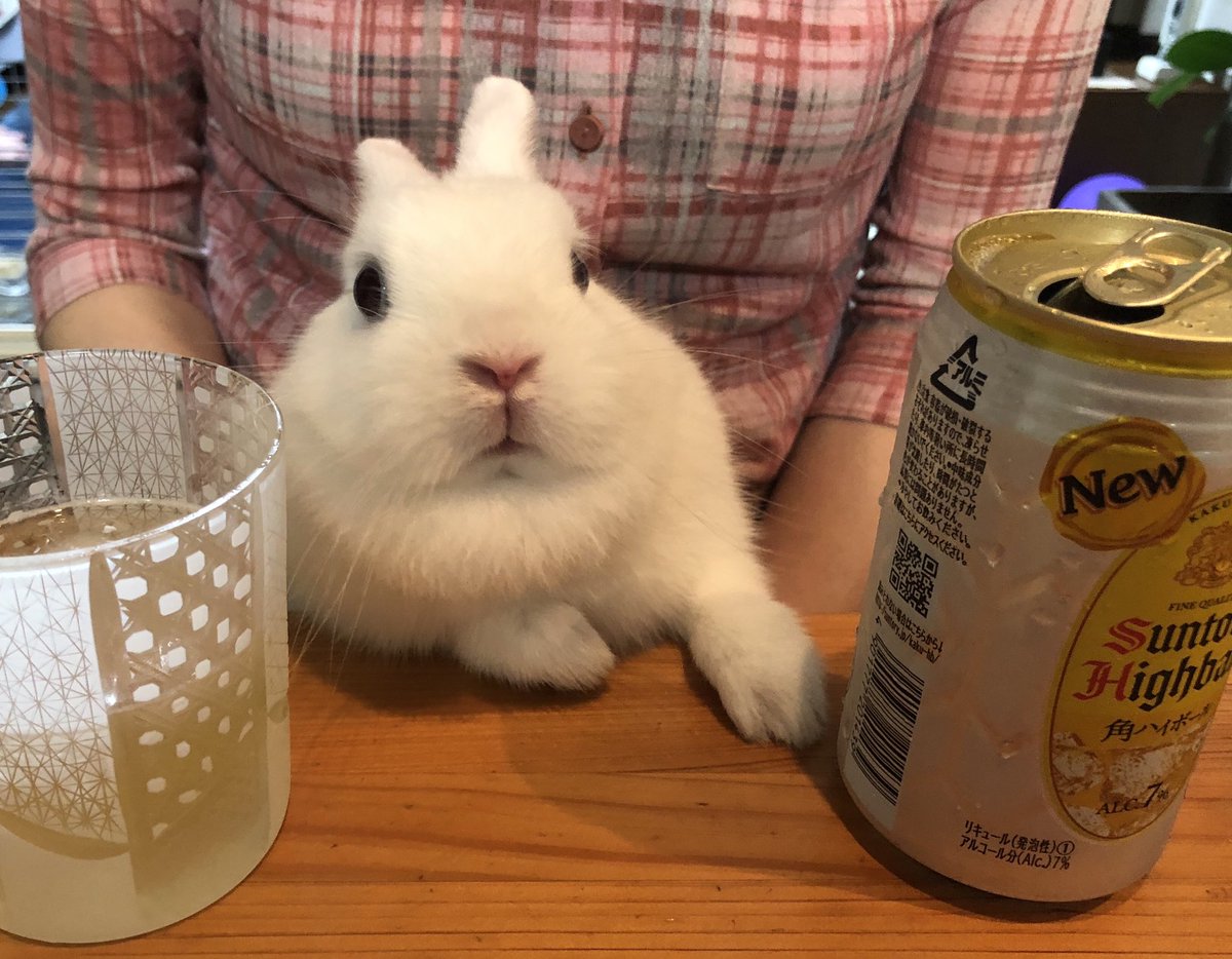 bonko (@bonko_rakugaki) / Posts / X