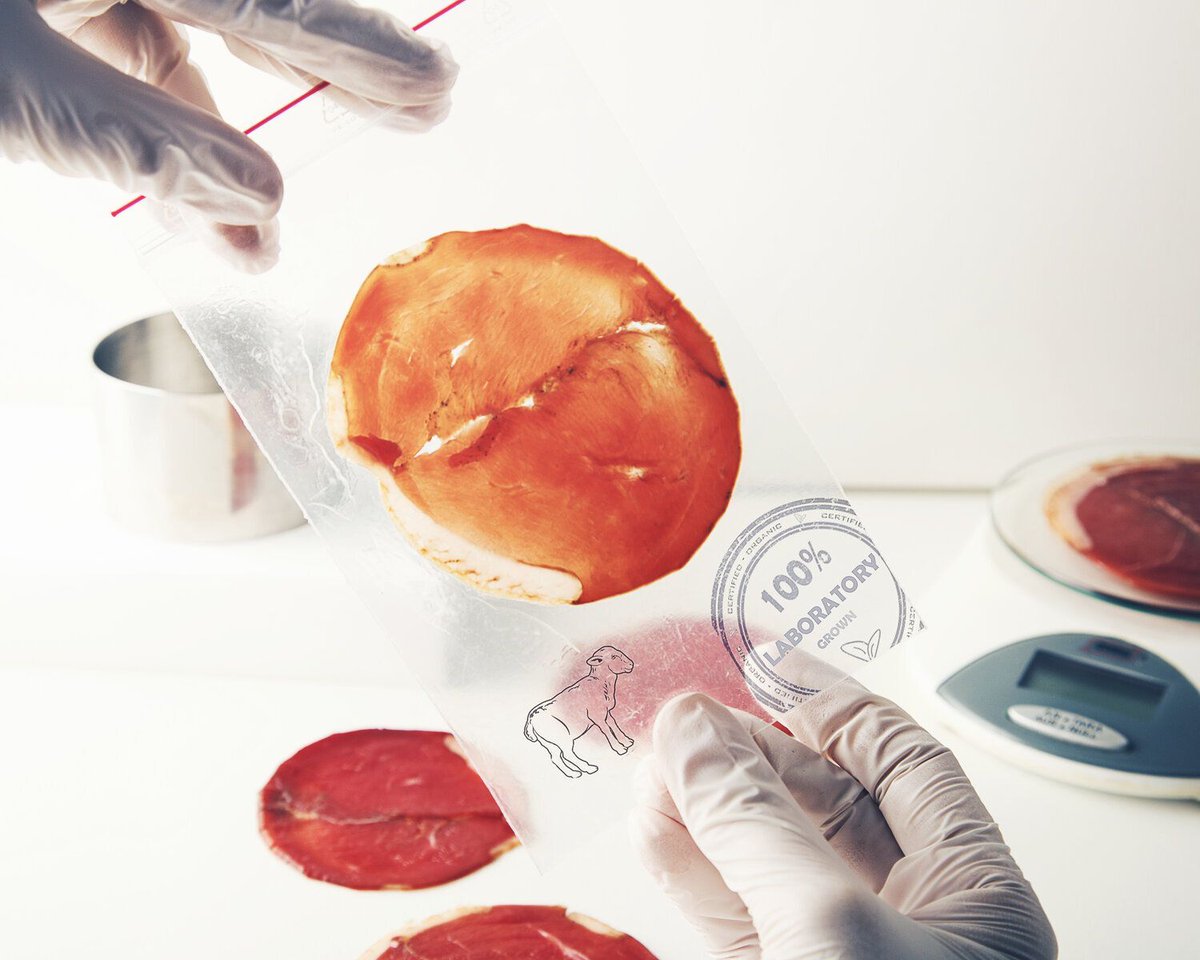 science_eclub's tweet photo. NEW INTERVIEW OUT🚀! Learn more about #cultivatedmeat 🥩🧫and the impact it may have on the #foodindustry. @benja22083, founder and CEO of #HigherSteaks, discusses the creation of her company &amp; the current issues in conventional meat production.
Read here: https://t.co/KtuhYrHguF https://t.co/FU8PvnMyZ3