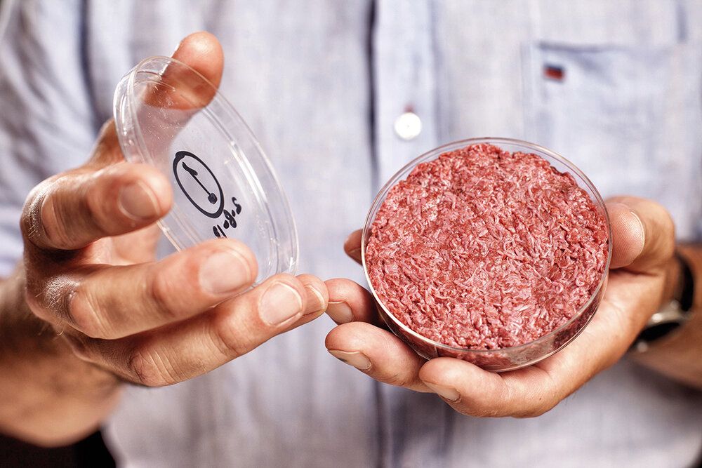 science_eclub's tweet photo. NEW INTERVIEW OUT🚀! Learn more about #cultivatedmeat 🥩🧫and the impact it may have on the #foodindustry. @benja22083, founder and CEO of #HigherSteaks, discusses the creation of her company &amp; the current issues in conventional meat production.
Read here: https://t.co/KtuhYrHguF https://t.co/FU8PvnMyZ3