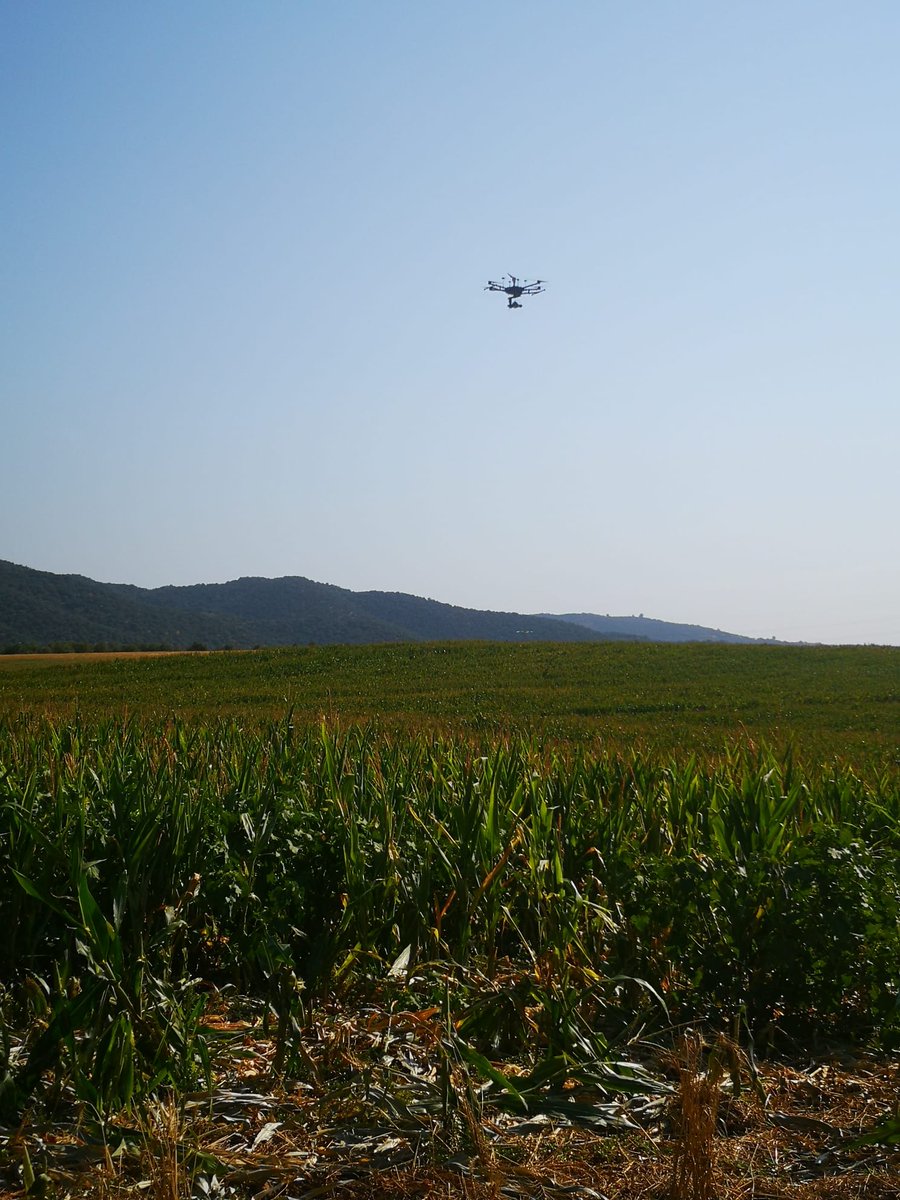 fjmesas's tweet photo. Despegamos 🚀, primero de los vuelos multiespectrales en parcelas de maiz 🌽por parte del equipo de la @ETSIAMCordoba de la @Univcordoba  que participa en GO @CerealAgua https://t.co/twaofD005y