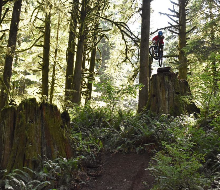 Have you been out adventuring since lockdown has been relaxed? Send your shots in so we can feature you in our posts, or tag us in your pictures! 🤘We love to see where our guards are going 🚴

Visit our website to buy yours today 👉 reaperstore.co.uk