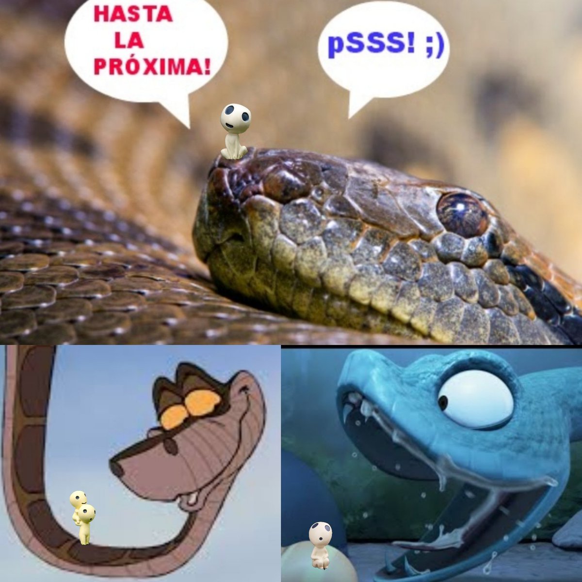 Kodamasquad's tweet photo. Las #serpientes tienen un gran valor en el equilibrio natural 
🐍Existen alrededor de 3.000 especies 
🐍Las serpientes de cascabel pueden comerse a sus descendientes 😋
🐍¡Hay serpientes voladoras! 🕊️
🐍Leptotyphlops carlae mide menos de 4’ y es tan fina como un fideo 🍜 https://t.co/jHKNZbV0Qc