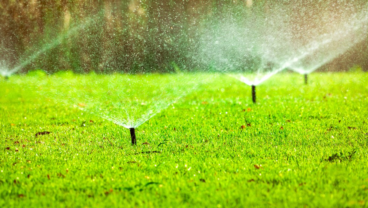 AndrewJ_Farr's tweet photo. Attention Mississauga &amp; Brampton: An outdoor water use advisory is still in effect! Check out what you can do here: https://t.co/OzGlHfqn2g https://t.co/D77oUkO4zU