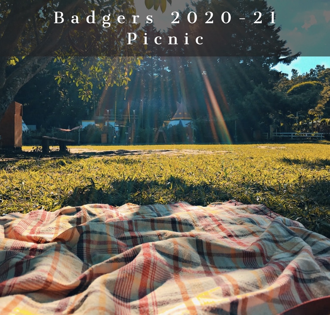 BadgersBeaver's tweet photo. IMPORTANT INFORMATION REGARDING THE BADGERS PICNIC.   Out of an abundance of caution due to the ongoing COVID-19 Public Health Emergency, the Badger Board has made the decision to cancel the opening picnic August 15th. We hope to resume event next year. https://t.co/Sudwi4pXJI