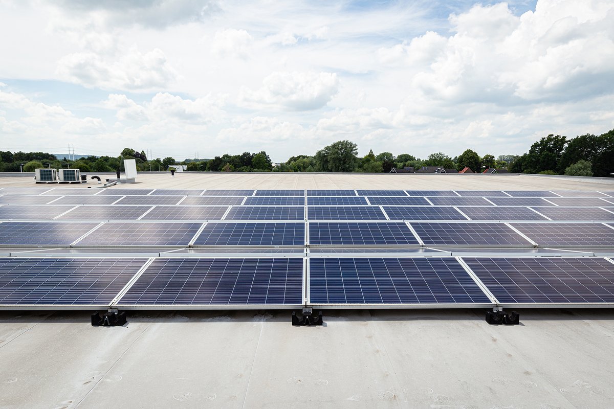 De Groene Mug tweet media