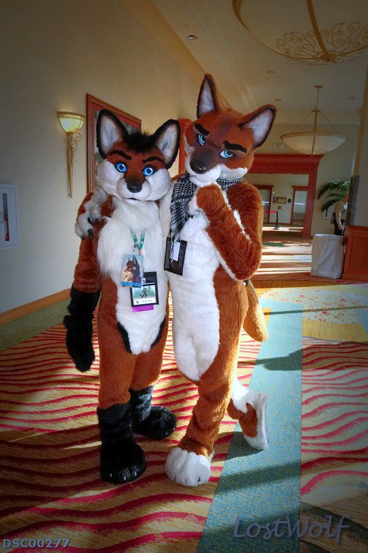 LostWolf321's tweet photo. It's @chipfoxx & @AshCoyote @rainfurrest #RF2015 https://t.co/hpjtbiL48W