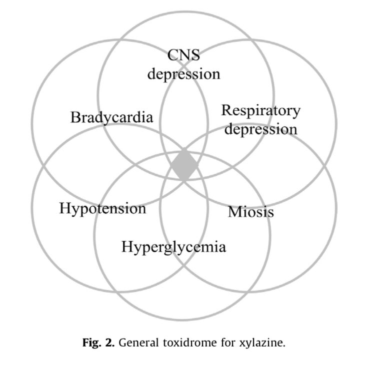 greenQoDay's tweet photo. Here’s a visual from a review arrival describing the “toxidrome” - meaning what it looks like when someone of on it.  Remember this isn’t withdrawal this is intoxication. https://t.co/9IK2SU8cek