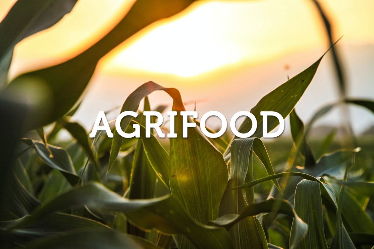 Rinnovabili tweet media