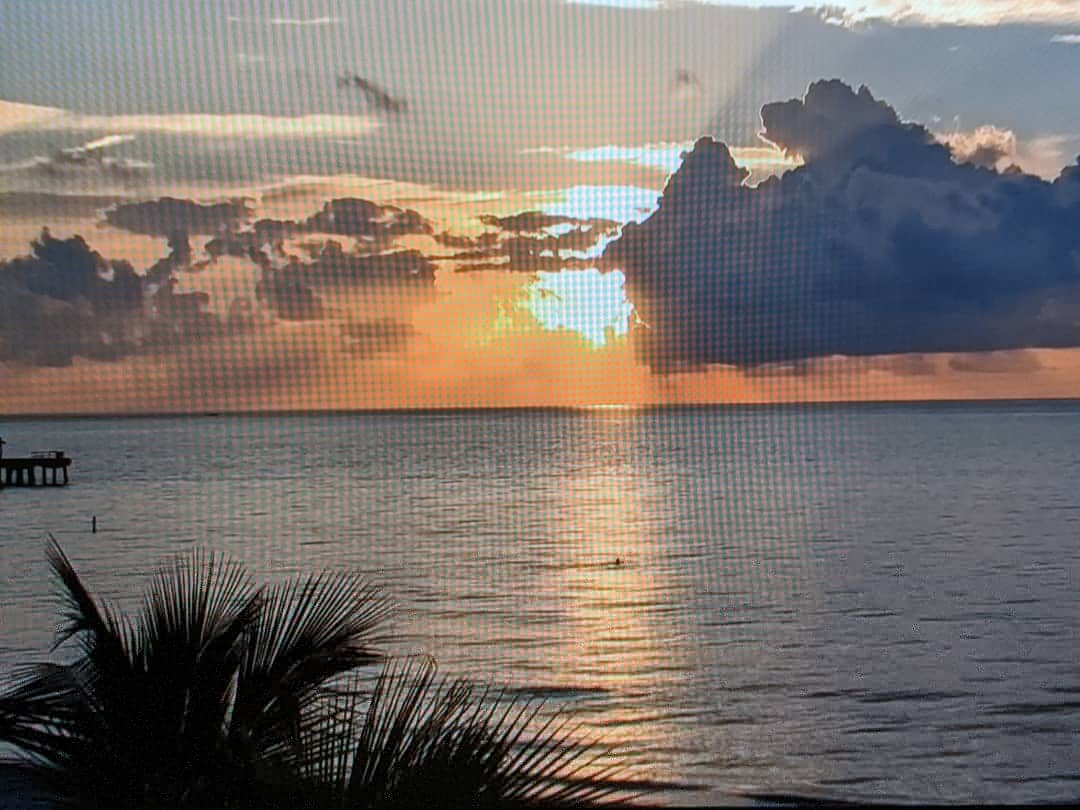 TMayerTV's tweet photo. Good morning #lauderdalebythesea #florida thanks @EarthCam and #Atlanta #ATL #atlantaga #keepcalmandstaysafe #keepcalmandwashyourhands https://t.co/4SE8zz40de