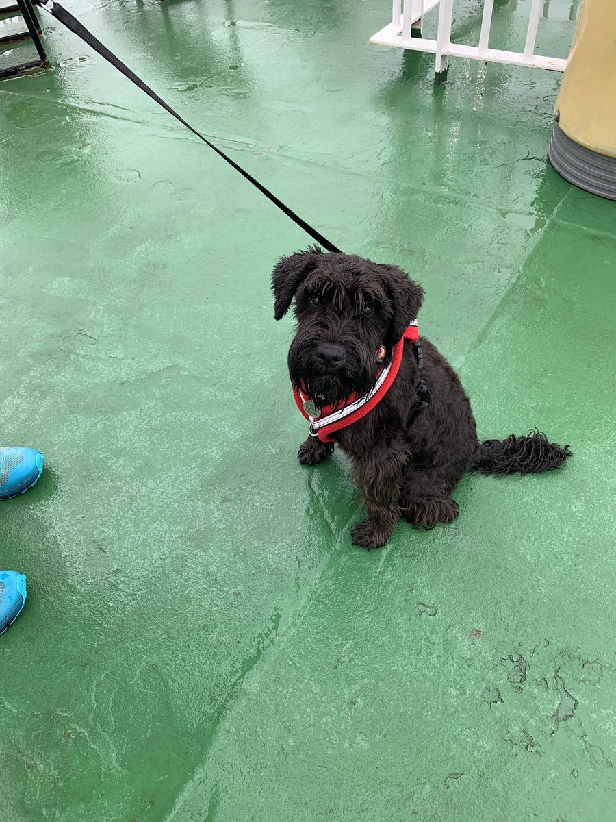 iamsmudge tweet media