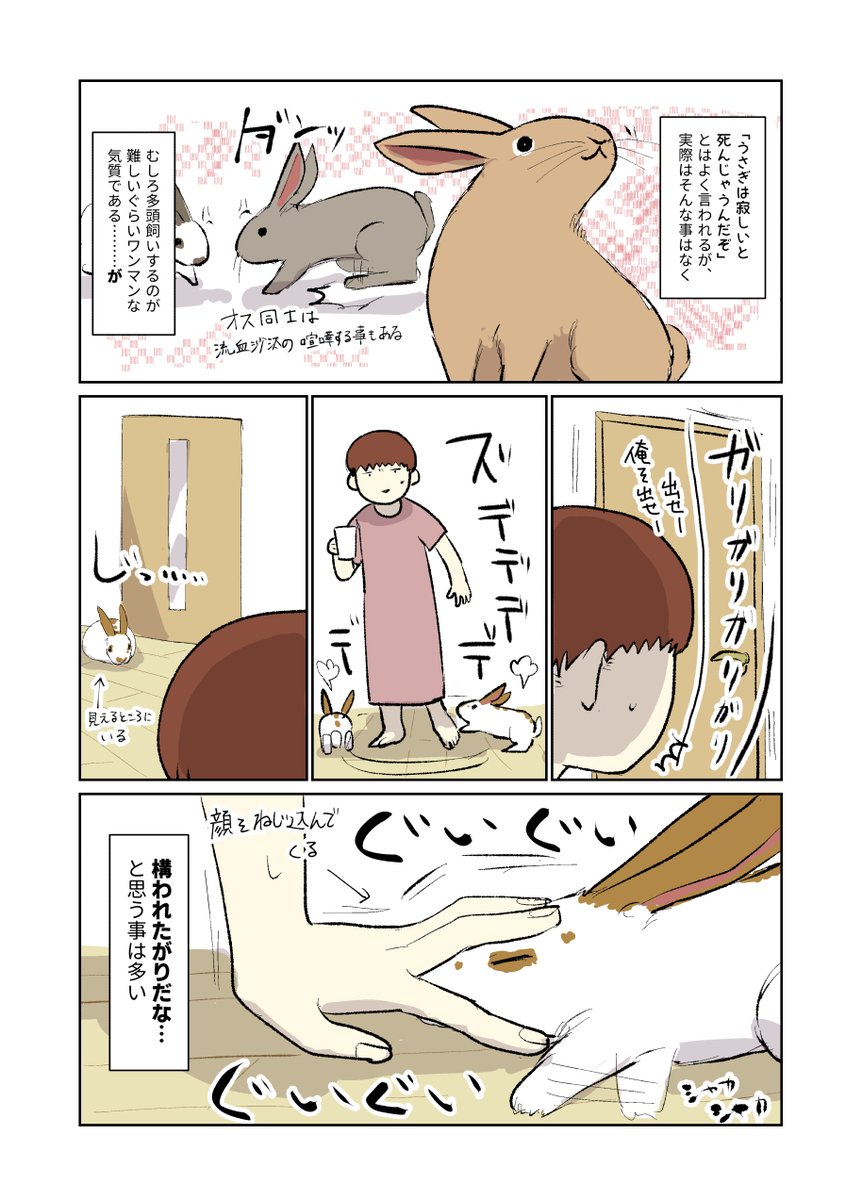 Twoucan うさぎのいる生活 の注目ツイート イラスト マンガ