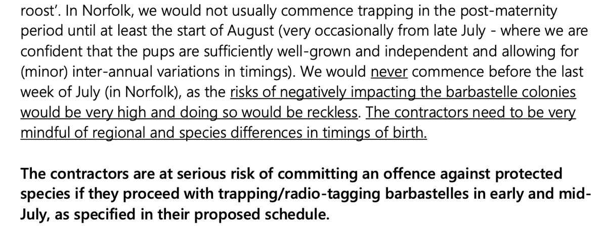 The standard licence also says “the licensee should liaise with the appropriate local bat groups or licensees”. In doing so they’d have been aware that there may be barbastelles still “suckling juveniles” at this Norfolk site in mid-July. And remember, the Council was informed: