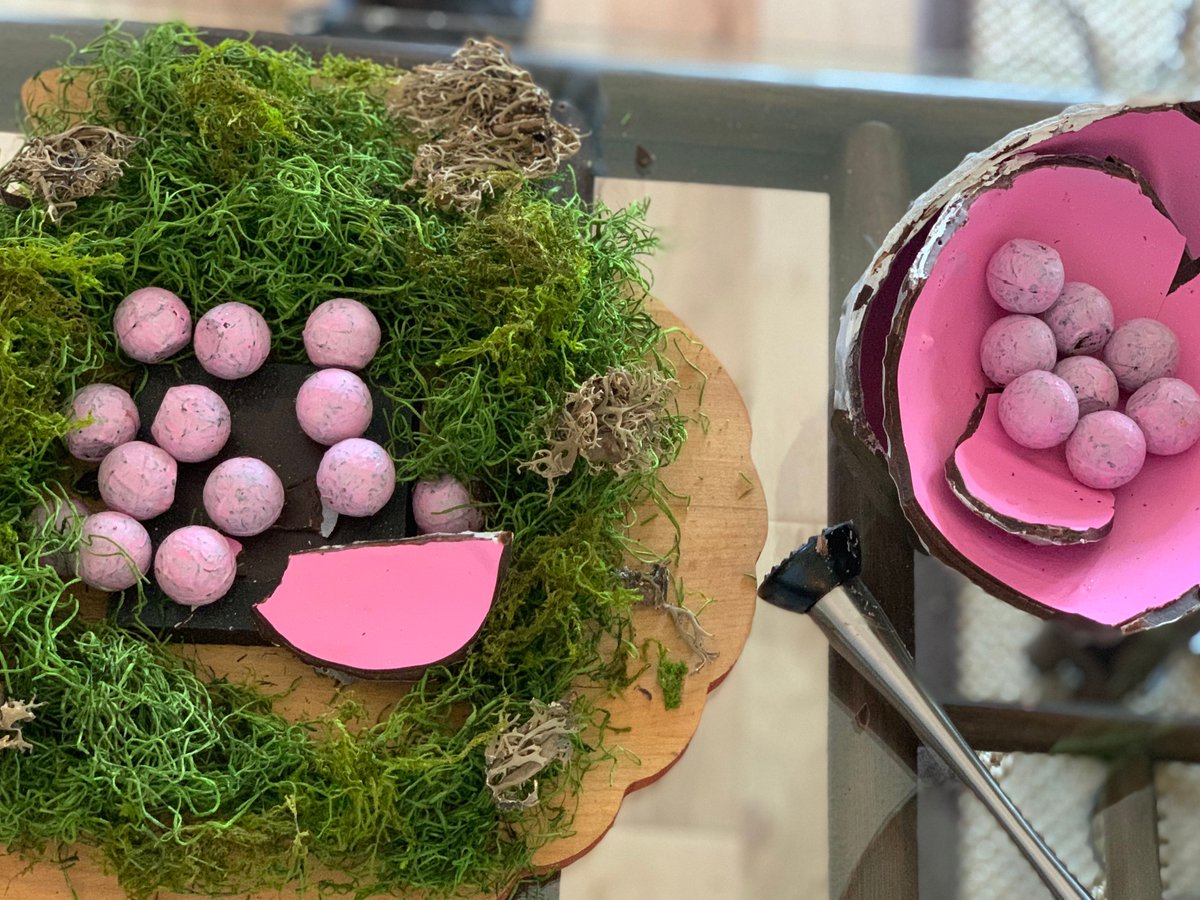 #TBT to this custom chocolate piece we did for a Dinosaur themed gender reveal. Our chefs love creating textured pieces. #kateweiserchocolate #specialevents #itsagirl