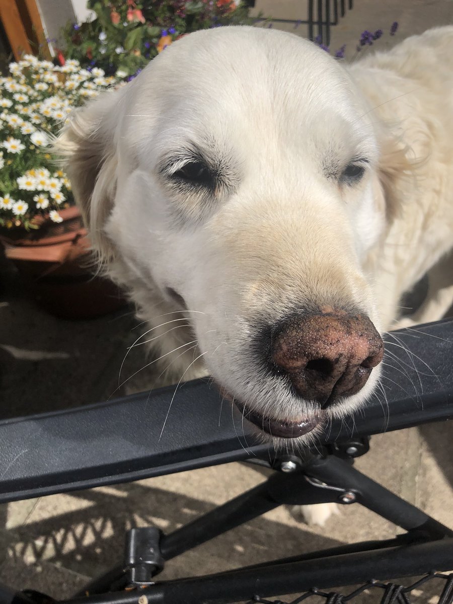 Heyyyy where’s my sun goggles 😍