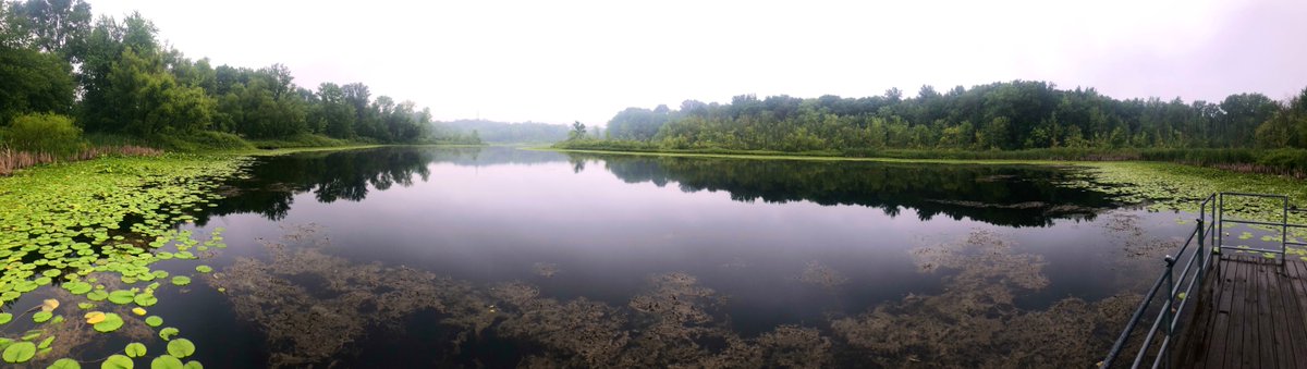 PhycoTechInc's tweet photo. Hess Lake, our next SW Michigan Lake featured during #LakesAppreciation Month!  Hess Lake is in Baroda Township and is 29 acres.  It's a great little lake with awesome weed beds, lots of macroinvertebrates, and of course, #supercoolalgae! https://t.co/Zlh2BMhTTk