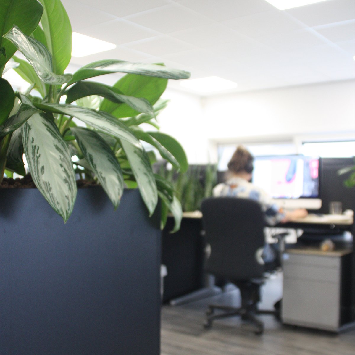 onedcwholesale's tweet photo. Yeah! We’ve pulled out our office outfits out of the closet because we’re going back to the office! We're so happy to see each other again, even at a safe distance. What measures apply to your company? #lockdownended #backtotheoffice #socialdistancing #teamwork #edc #edcwholesale https://t.co/XSEZUbzdW4