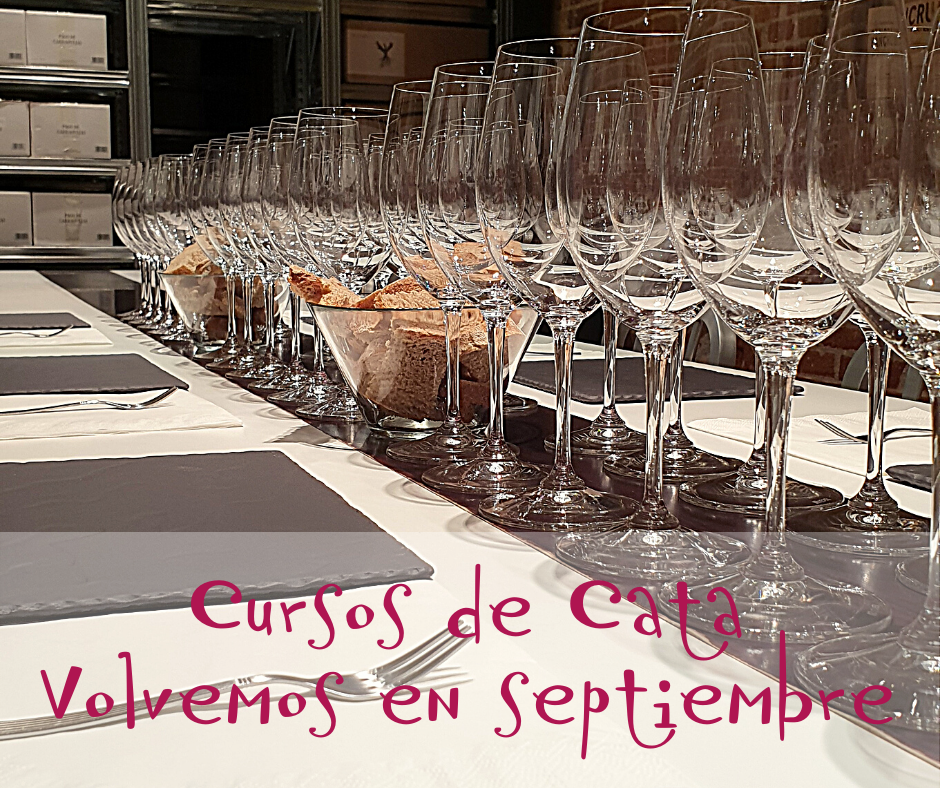 Nuestros Cursos de Cata vuelven en septiembre, como la vuelta al cole. 😄😄
Más info: 

🔴 Teléfono: 91 444 1278
 🔴 WhatsApp: 655 032 035
 🔴 Reserva Catas: catas@vinoycompania.com

#vinoycompañía #catas #cursoscata #catamaridaje
