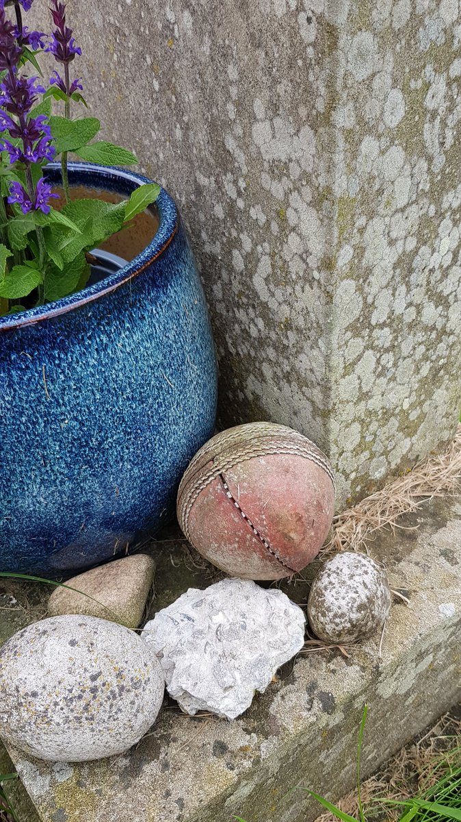 BlokeFromCas's tweet photo. "T' finest bloody fast bowler as ever drew breath."
Fred Trueman at Skipton and Bolton Abbey.
#FromYorkshire #ProperBowler #legend
@FredBoycott @BumbleCricket https://t.co/oncyykJMbA