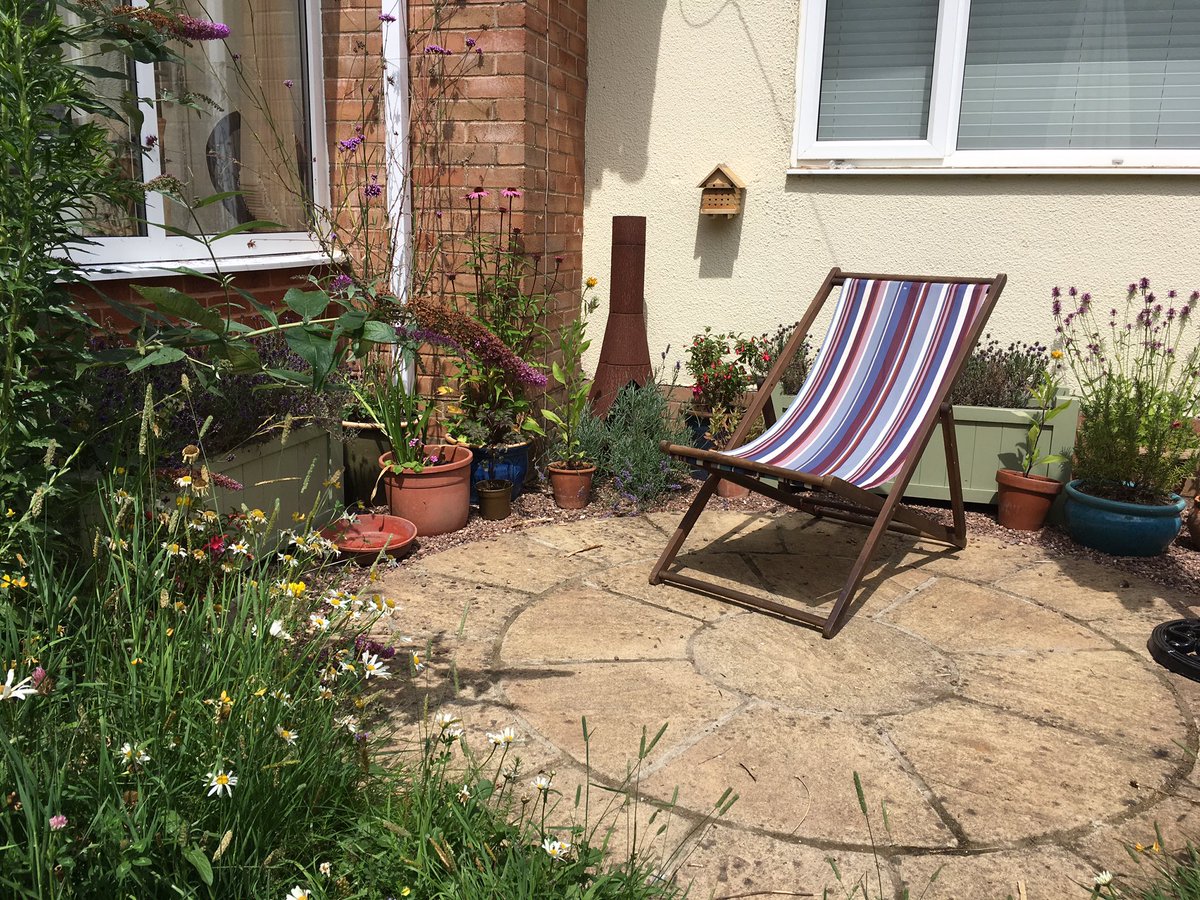 naturemeg's tweet photo. ✔️ outdoor space
✔️ comfy chair
✔️ nectar rich flowers

I’m ready for the Big #ButterflyCount to start tomorrow! Are you?! https://t.co/ZqK8qUmjLo